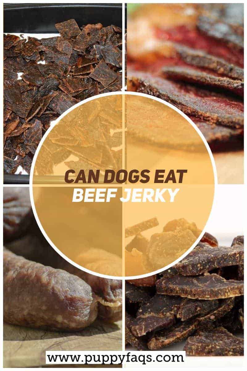 Can Dogs Eat Beef Jerky? PUPPYFAQS