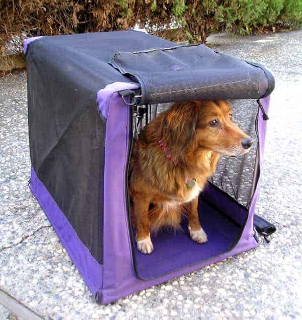 Should You Cover A Dog Crate With A Blanket? PUPPYFAQS